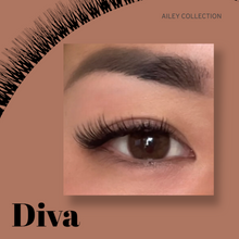 Load image into Gallery viewer, Ailey D.I.Y Lash Refill Kit
