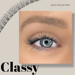 Ailey D.I.Y Lash Mini Starter Kit